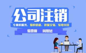 在无为办理公司注销手续及流程都有哪些