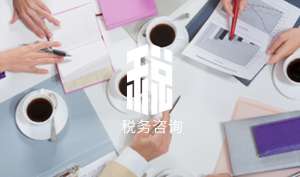 在无为税务咨询提供的四种信息