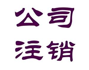 无为公司注销代办服务