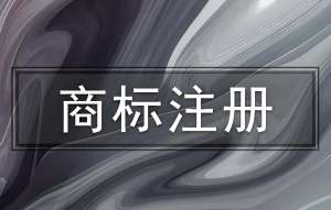 无为 vs 其他城市：注册商标的地域优势与政策支持对比